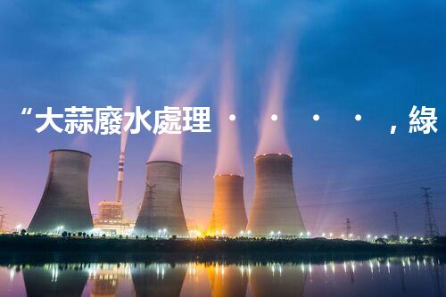 “大蒜廢水處理，綠色環(huán)保新篇章”